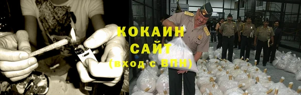 сатива Покачи