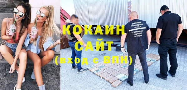 сатива Покачи
