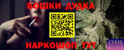 PSILOCYBIN Пенза