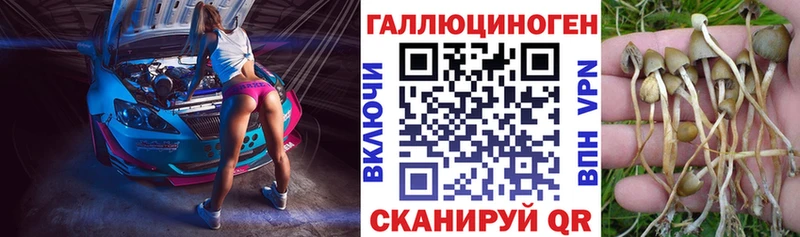 Псилоцибиновые грибы Cubensis  hydra зеркало  Шатура 