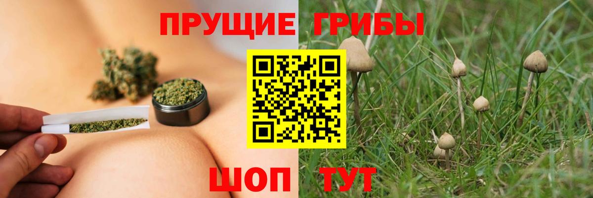 Шатура  Галлюциногенные грибы Magic Shrooms  Вход с VPN 